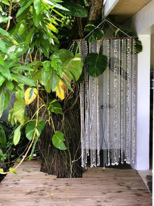 Bungalow Tiarii, Avec Acces Direct A Une Plage Privee Tevaitoa ภายนอก รูปภาพ