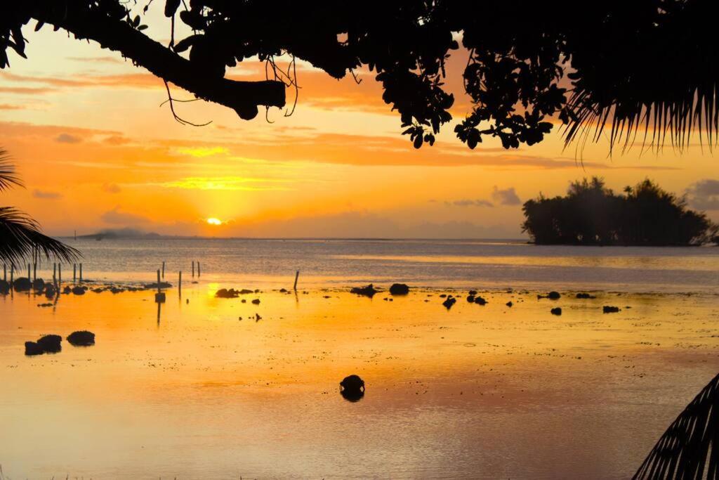 Bungalow Tiarii, Avec Acces Direct A Une Plage Privee Tevaitoa ภายนอก รูปภาพ